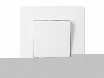 Выключатель 1 клав. двухполюсный (скрытый, 10А) белый, Мастер, BYLECTRICA