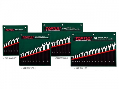 Набор ключей комбинир. 8-24 мм 15° Pro-Line 10 шт в сумке (цвет: зелёный) TOPTUL (GRAW1001)