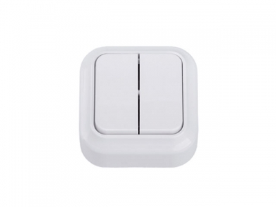 Выключатель 2 клав. (открытый, до 10А) белый, Вариант, Bylectrica